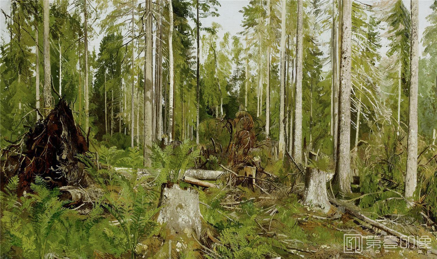 油画-伊凡·伊凡诺维奇·希施金 Ivan Shishkin作品集-76